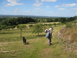 Greensand Way Nr Hunton Hill